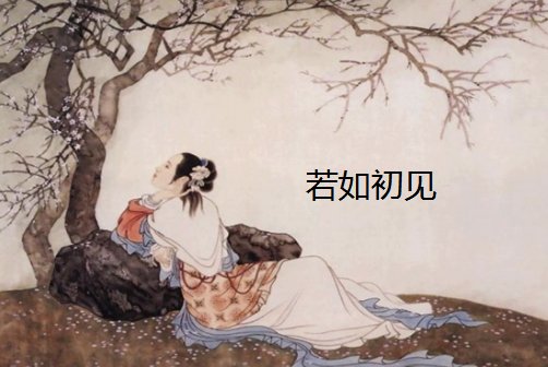 若如初见是什么意思？？？