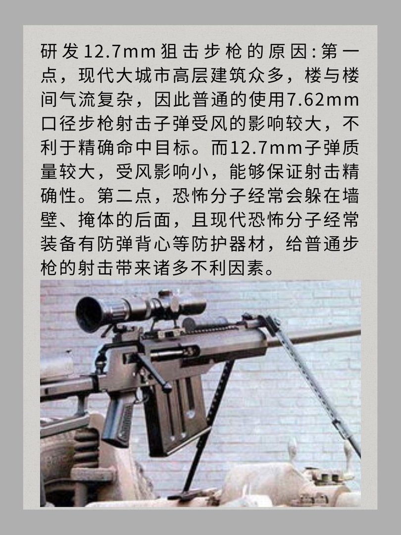 我国ARM-2狙击步枪