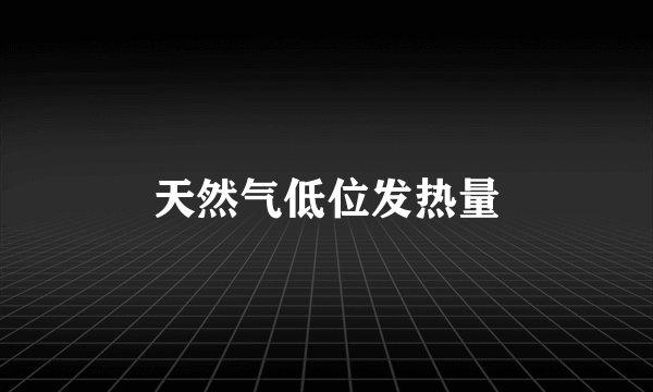 天然气低位发热量