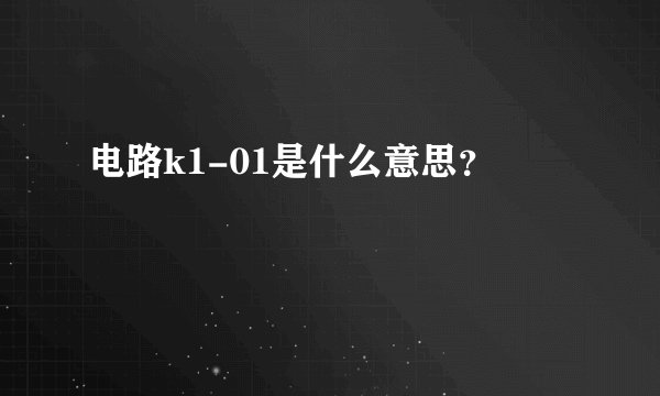 电路k1-01是什么意思？