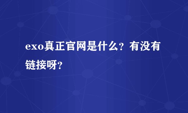 exo真正官网是什么？有没有链接呀？