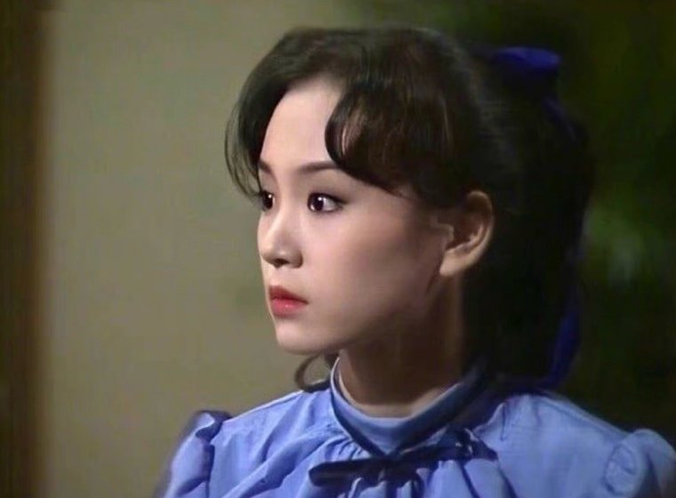 刘雪华演的电视剧大全