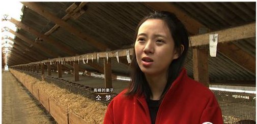 cctv7致富经是一档怎样的节目?