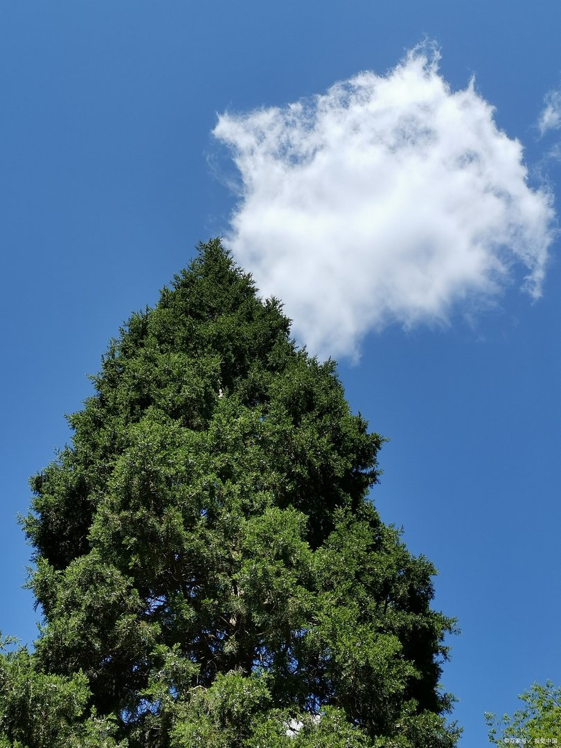 安徽学业水平测试