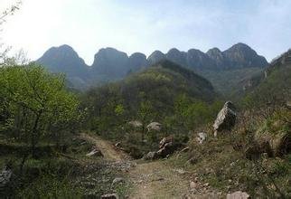 中国风水网的网站结构