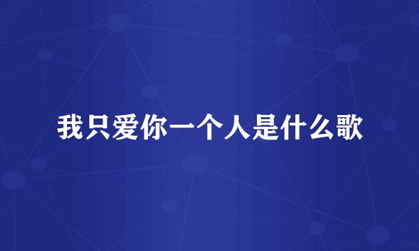 我只爱你一个人是什么歌