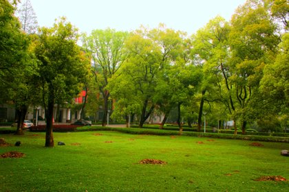 校园春色的介绍