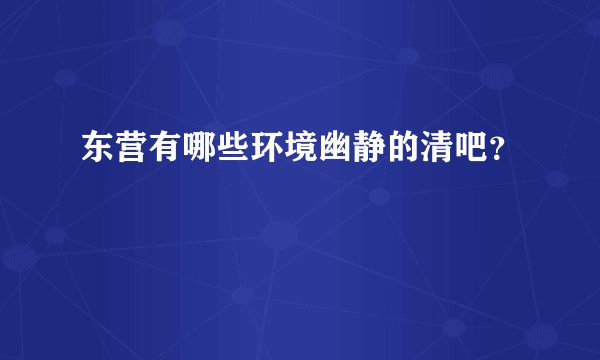 东营有哪些环境幽静的清吧？