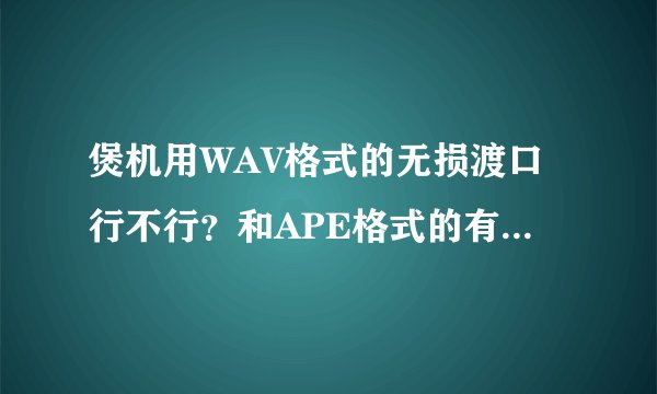 煲机用WAV格式的无损渡口行不行？和APE格式的有没有区别