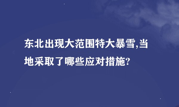 东北出现大范围特大暴雪,当地采取了哪些应对措施?