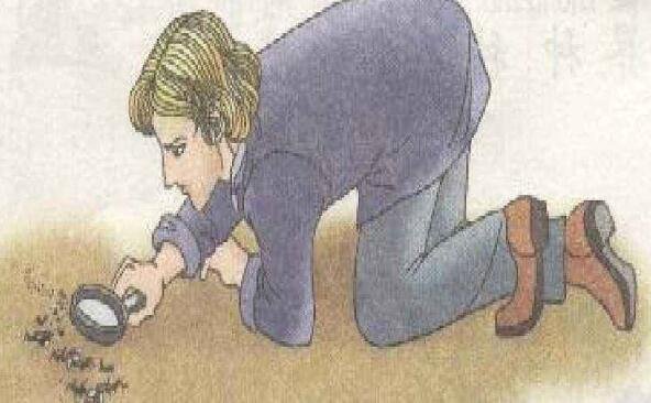 昆虫记每一章内容概括