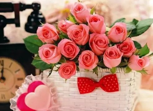 送花数量的含义和代表什么