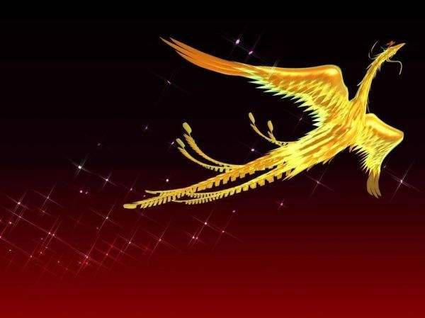 “凤凰涅盘，浴火重生”是什么意思？