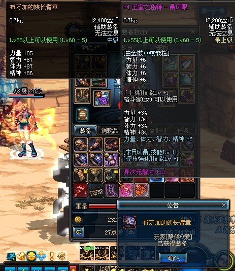 布万加的族长臂章的介绍