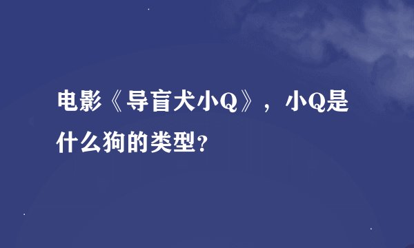 电影《导盲犬小Q》，小Q是什么狗的类型？