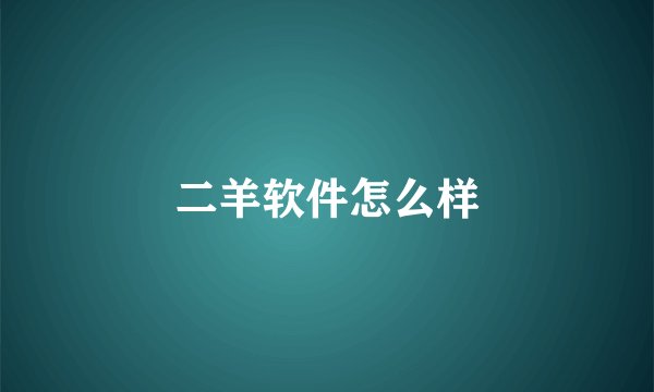 二羊软件怎么样