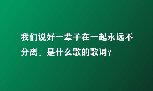 我们说好一辈子在一起永远不分离。是什么歌的歌词？