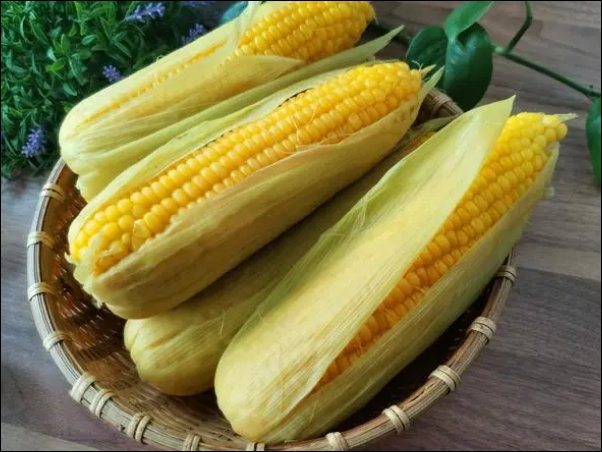 玉米价格创历史新高，今年的玉米价格为什么那么高？