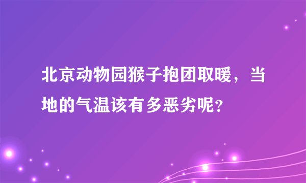 北京动物园猴子抱团取暖，当地的气温该有多恶劣呢？