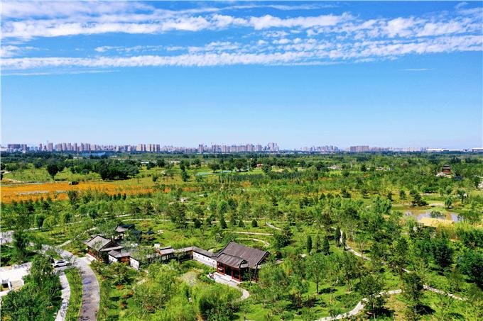 气象局表示2020年为1951年以来第8个最暖年,还有哪些年温度较高?