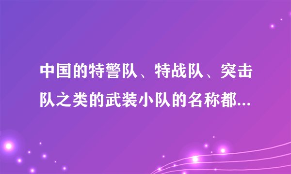 中国的特警队、特战队、突击队之类的武装小队的名称都有哪些?比如飞虎...