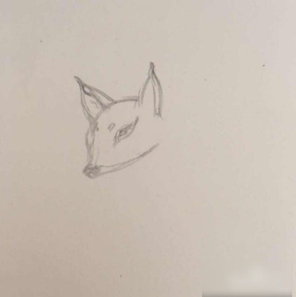 九尾狐怎么画霸气