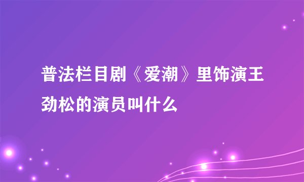 普法栏目剧《爱潮》里饰演王劲松的演员叫什么