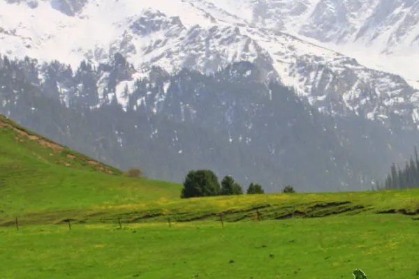 乌鲁木齐小学排名