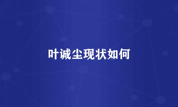 叶诚尘现状如何