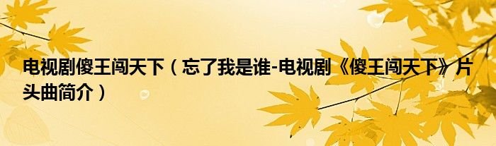 电视剧傻王闯天下忘了我是谁电视剧傻王闯天下片头曲简介