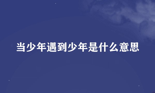 当少年遇到少年是什么意思