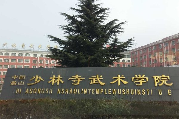 少林寺学武术去哪个学校