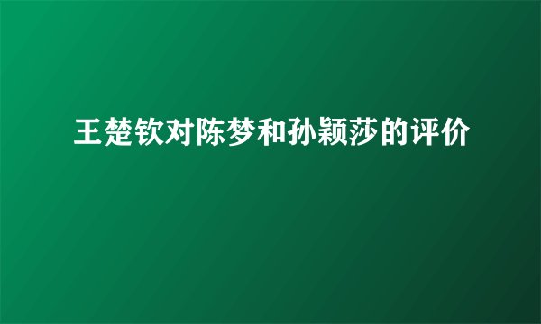 王楚钦对陈梦和孙颖莎的评价