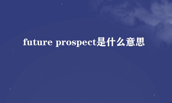 future prospect是什么意思