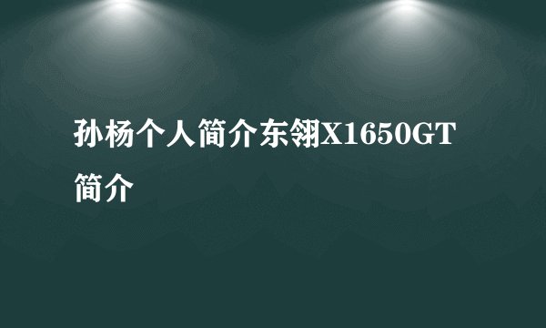 孙杨个人简介东翎X1650GT简介