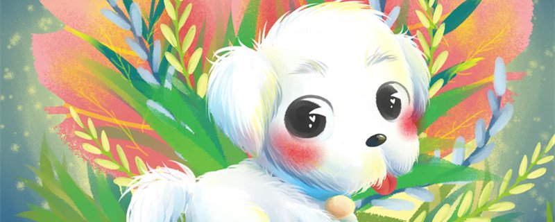 94年属狗女什么时候动婚94年属狗女最佳结婚时间