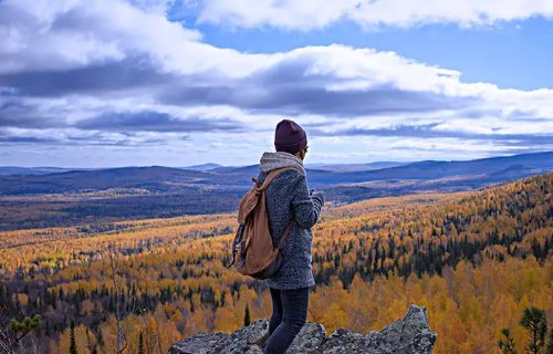 外出的目的是什么?