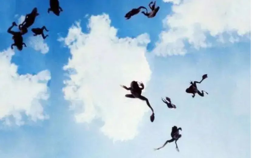 青蛙雨真的存在吗