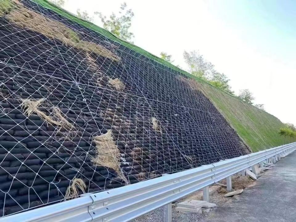 主动防护网多少钱1平米?