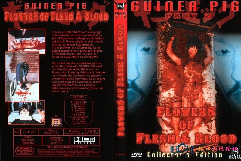 血肉之花的剧情简介