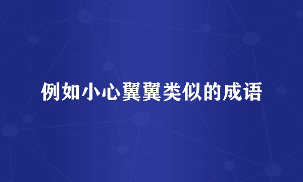 例如小心翼翼类似的成语