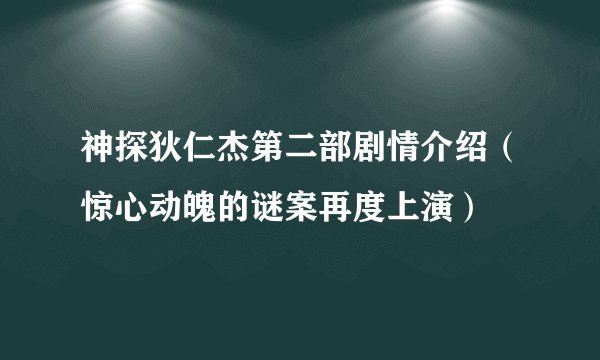 神探狄仁杰第二部剧情介绍（惊心动魄的谜案再度上演）