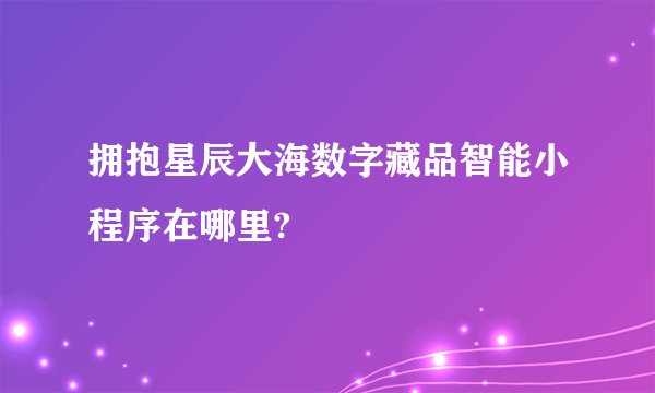 拥抱星辰大海数字藏品智能小程序在哪里?