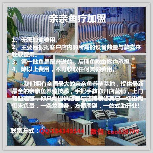 鱼疗馆大概投资多少钱