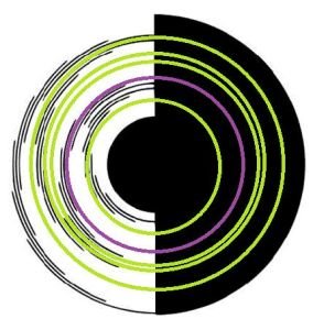 贝汉转盘的理论