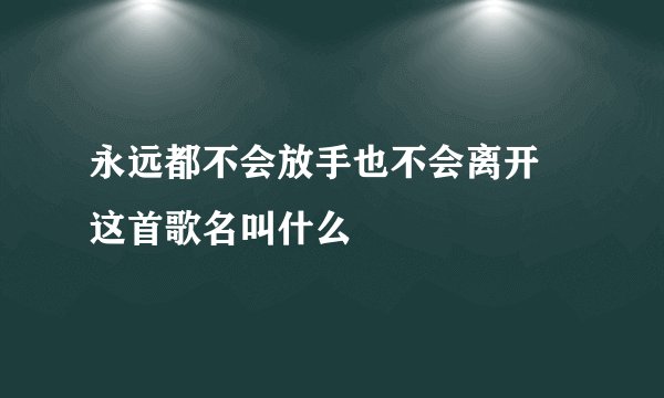 永远都不会放手也不会离开 这首歌名叫什么