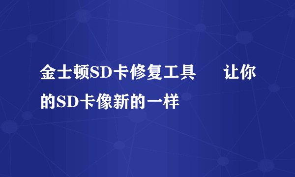 金士顿SD卡修复工具 – 让你的SD卡像新的一样
