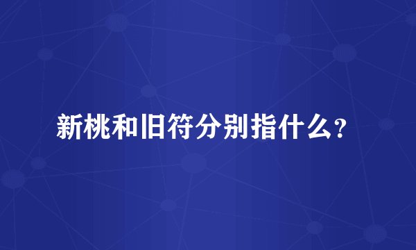 新桃和旧符分别指什么?