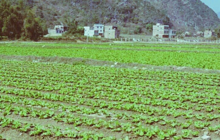 一亩等于多少平方米