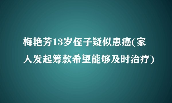 梅艳芳13岁侄子疑似患癌(家人发起筹款希望能够及时治疗)